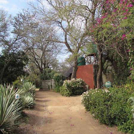 Amanzimlotzi Riverside Bush Camp 호에드스프뤼트 외부 사진