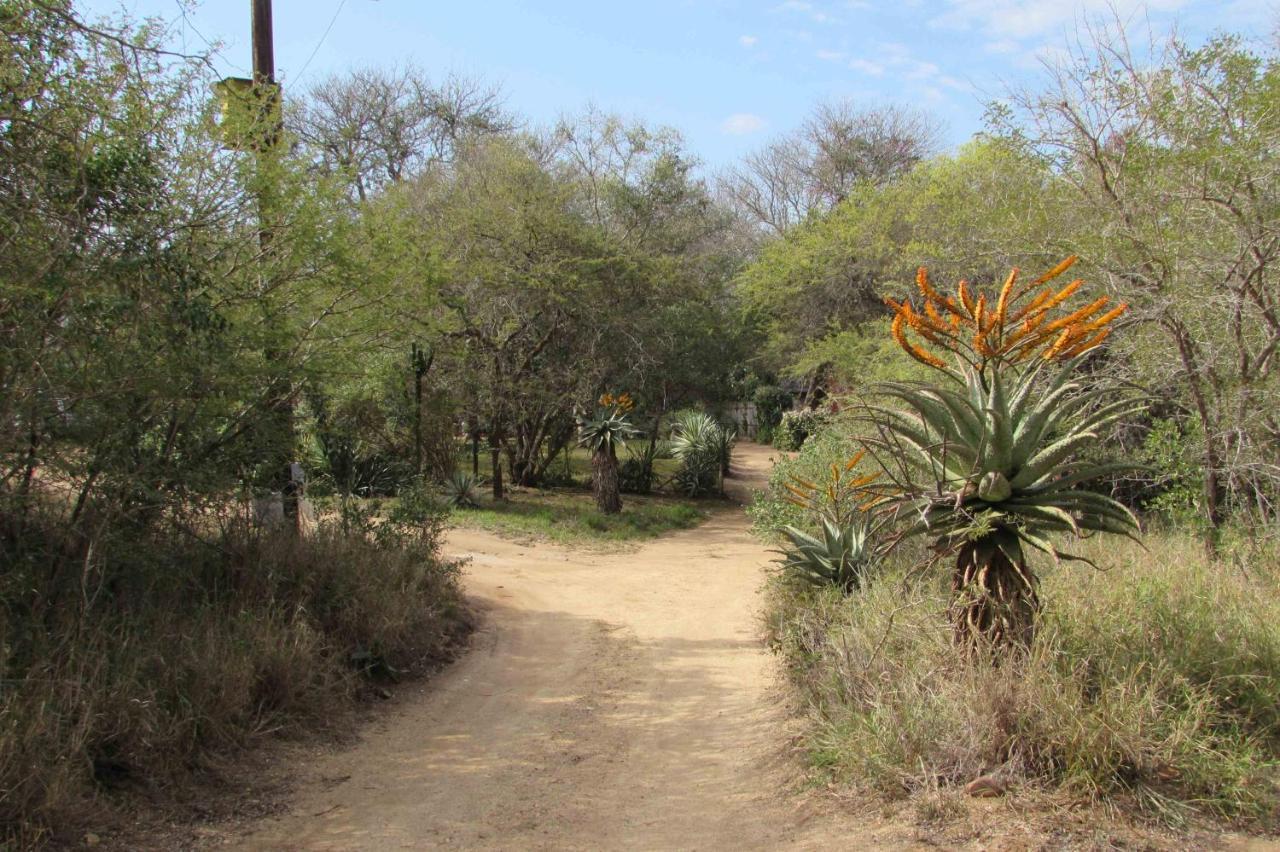 Amanzimlotzi Riverside Bush Camp 호에드스프뤼트 외부 사진