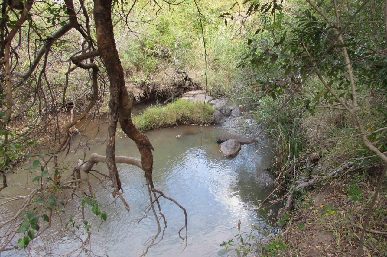 Amanzimlotzi Riverside Bush Camp 호에드스프뤼트 외부 사진