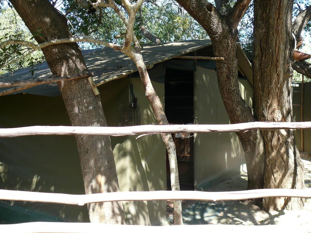 Amanzimlotzi Riverside Bush Camp 호에드스프뤼트 객실 사진