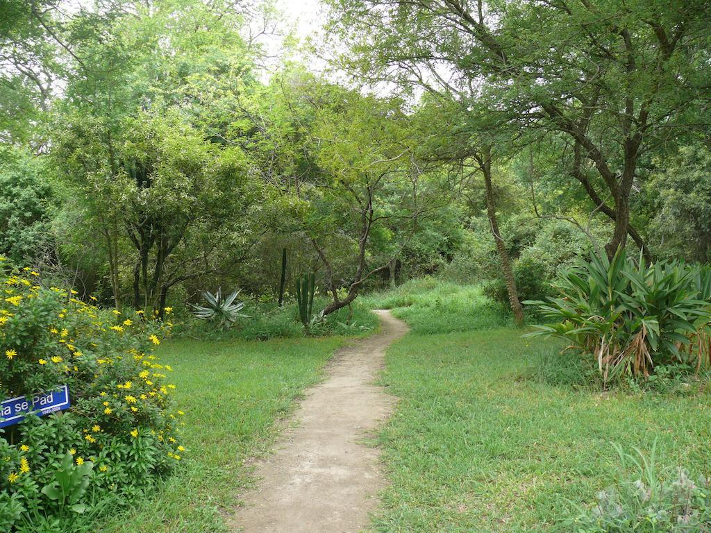 Amanzimlotzi Riverside Bush Camp 호에드스프뤼트 객실 사진