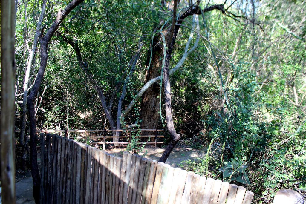 Amanzimlotzi Riverside Bush Camp 호에드스프뤼트 외부 사진