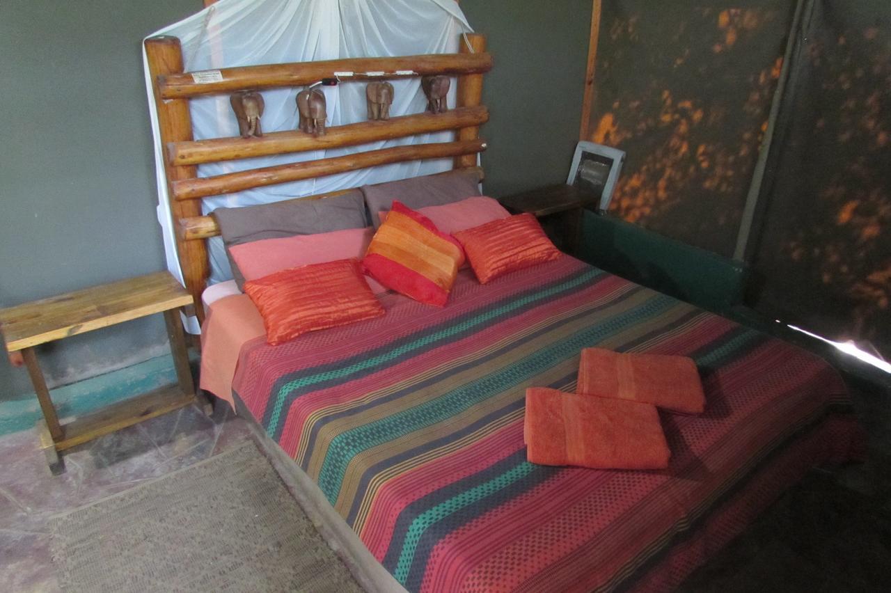 Amanzimlotzi Riverside Bush Camp 호에드스프뤼트 외부 사진