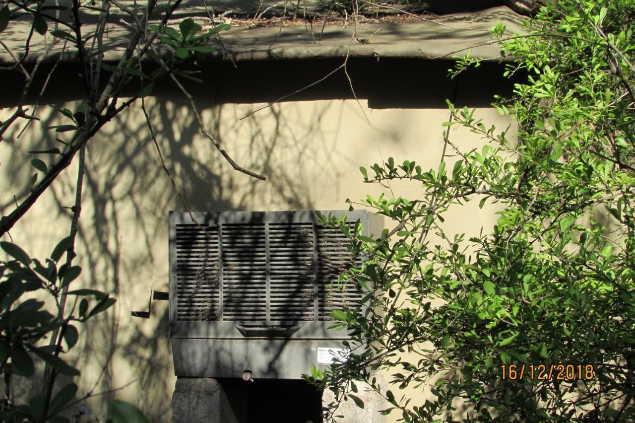 Amanzimlotzi Riverside Bush Camp 호에드스프뤼트 외부 사진