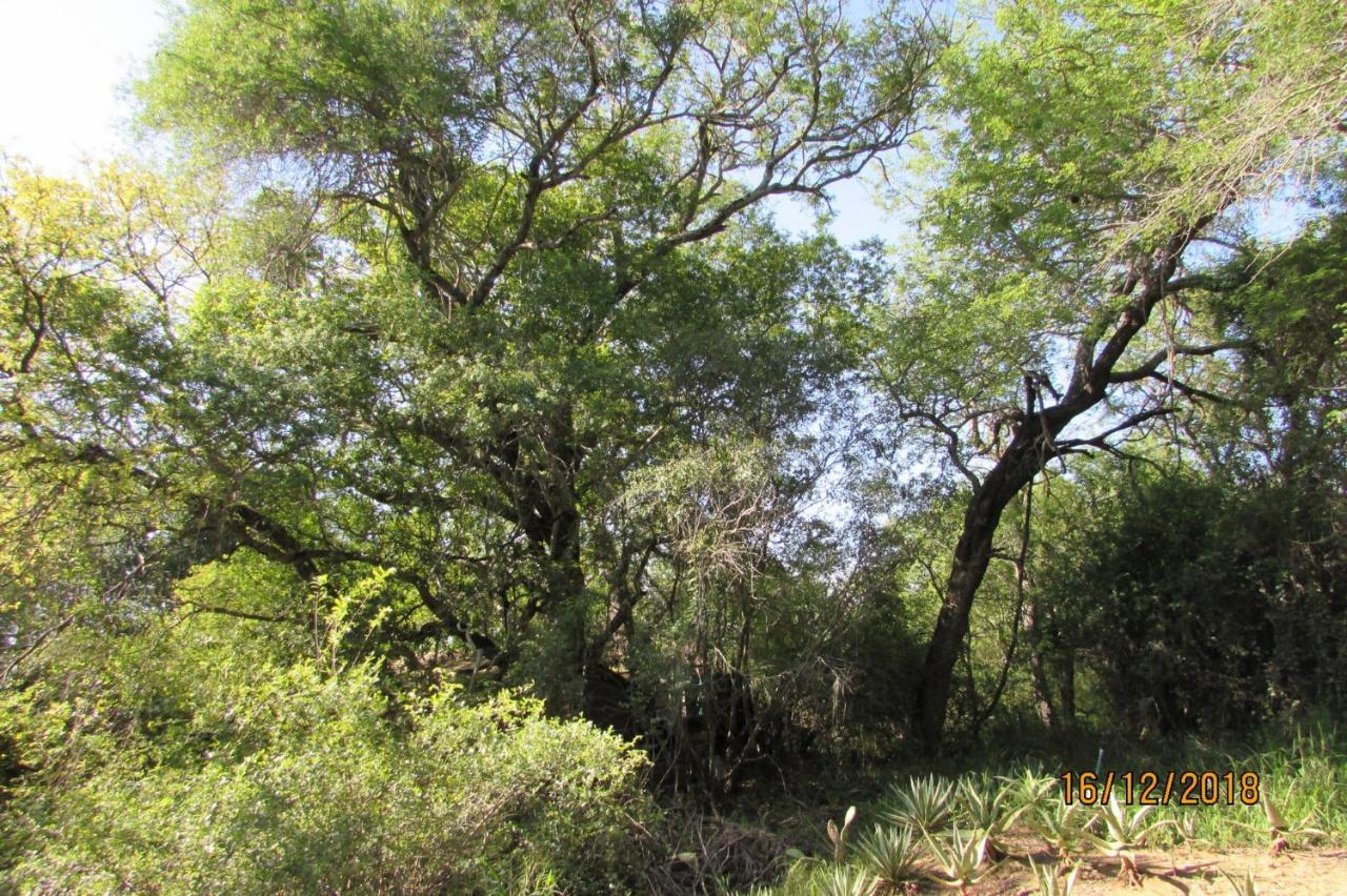 Amanzimlotzi Riverside Bush Camp 호에드스프뤼트 외부 사진