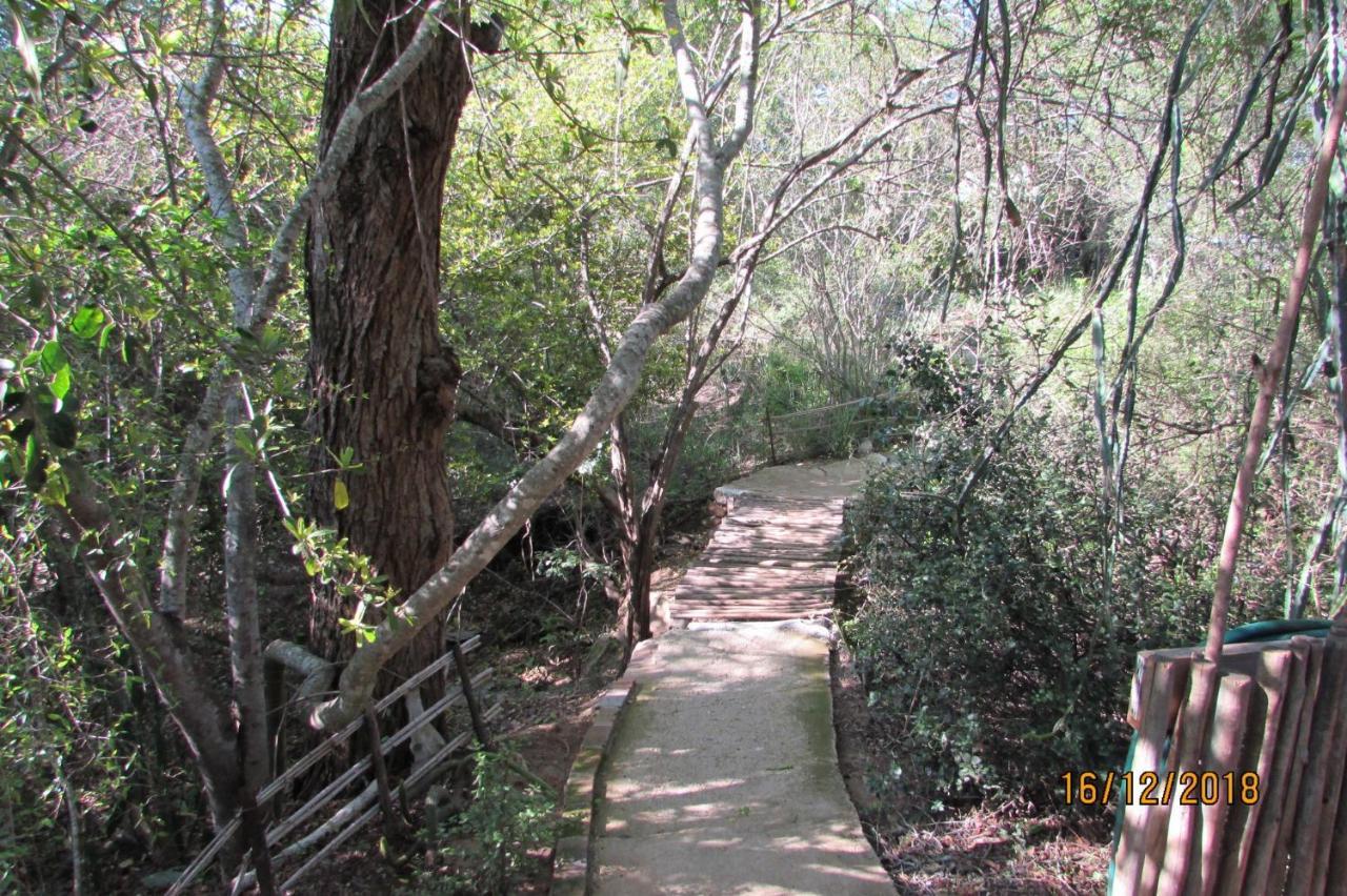 Amanzimlotzi Riverside Bush Camp 호에드스프뤼트 외부 사진