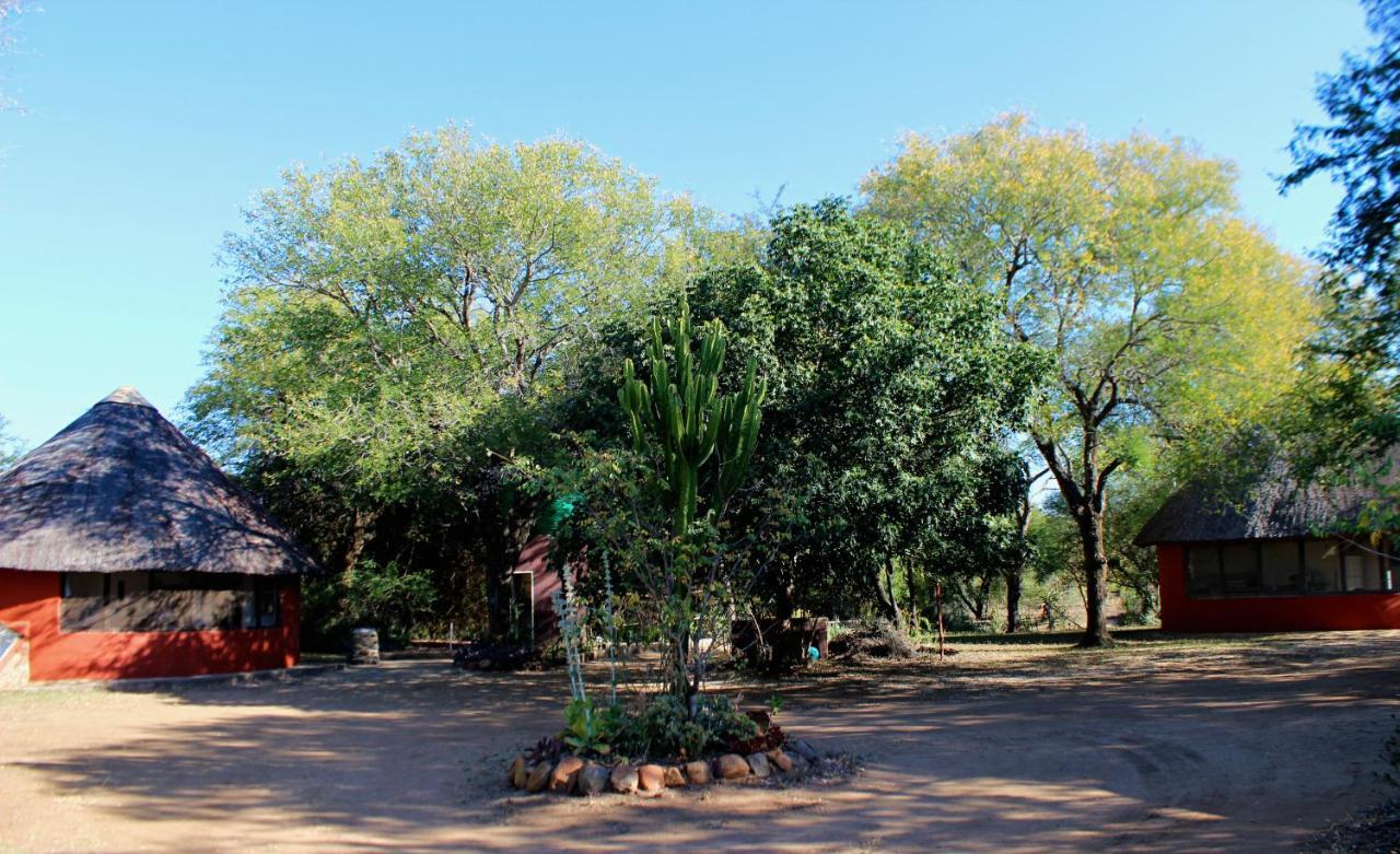 Amanzimlotzi Riverside Bush Camp 호에드스프뤼트 외부 사진